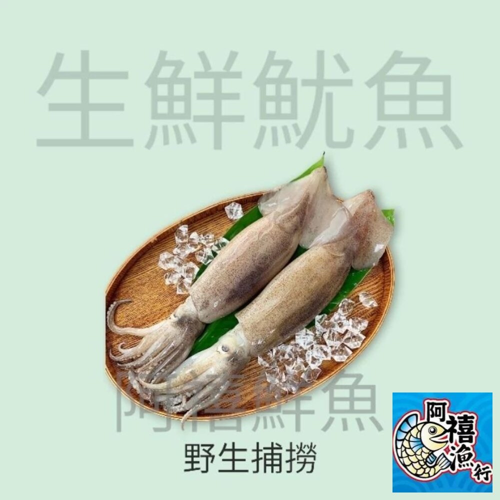25572040555-魷魚 原條 3kg