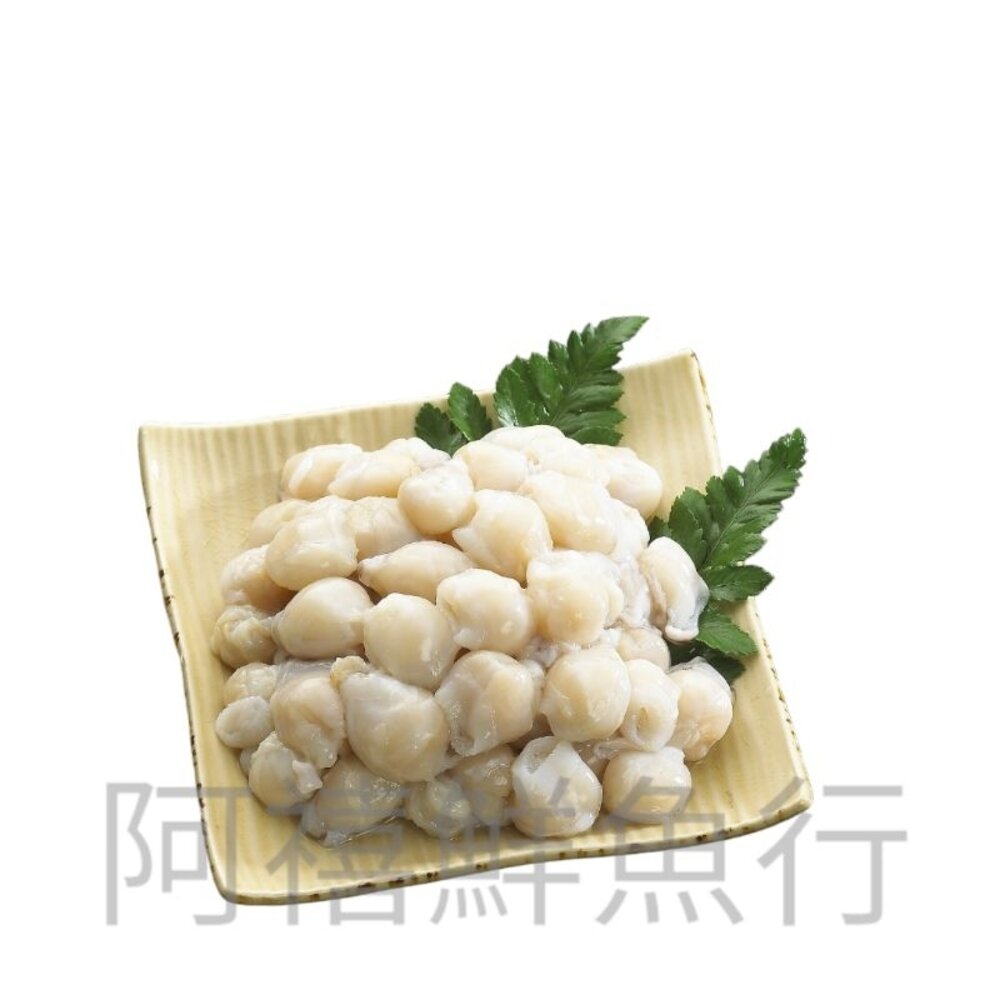 龍珠 魷魚嘴 封面照片