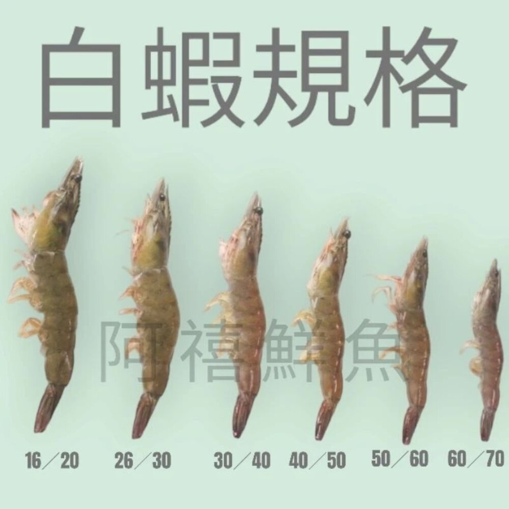 20／30  白蝦  蝦子 活凍蝦 850g 封面照片