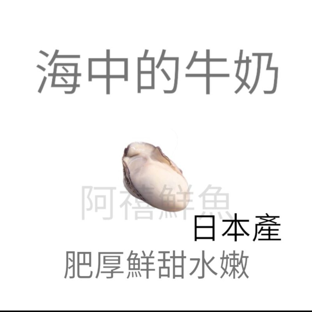 25969893874-日本 生蠔肉 牡蠣肉 2L