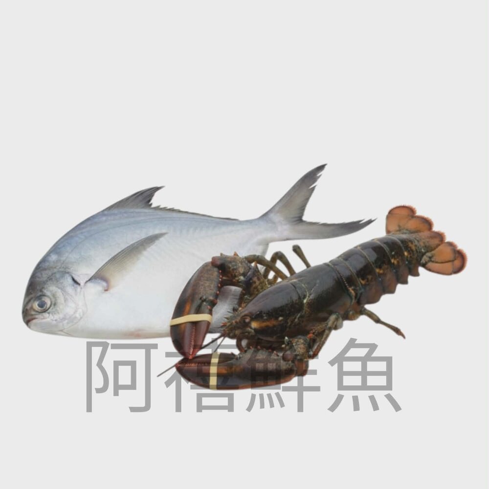 🧧【吉祥如意】頂級海鮮禮盒 — 富貴白鯧 鴻運大蝦 極品干貝 鮮甜軟絲 讓您的心意,大氣又鮮美!🌊 海中鮮-圖片-4