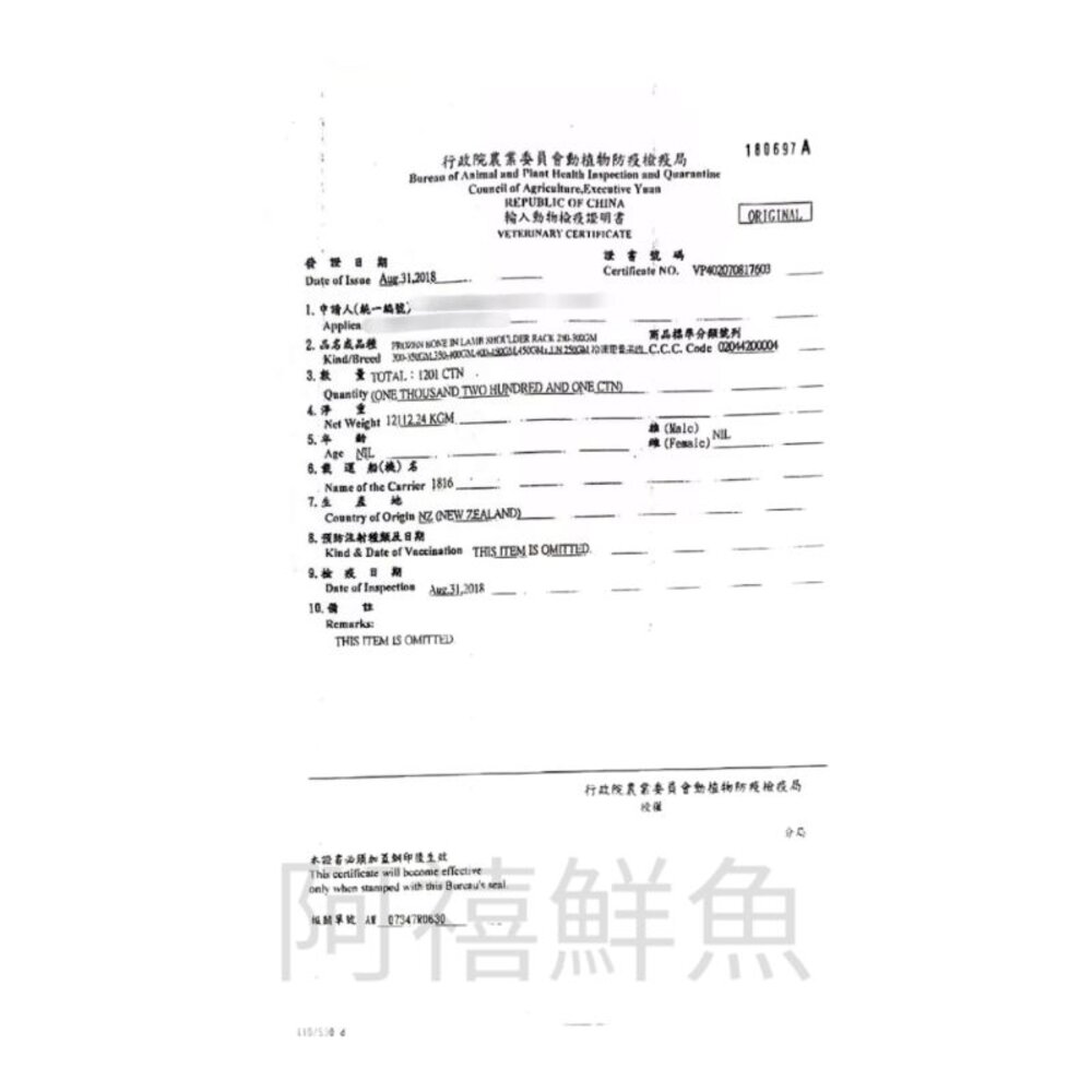 法式羔羊 小羔羊 羊排 八骨 羊肩排-圖片-1