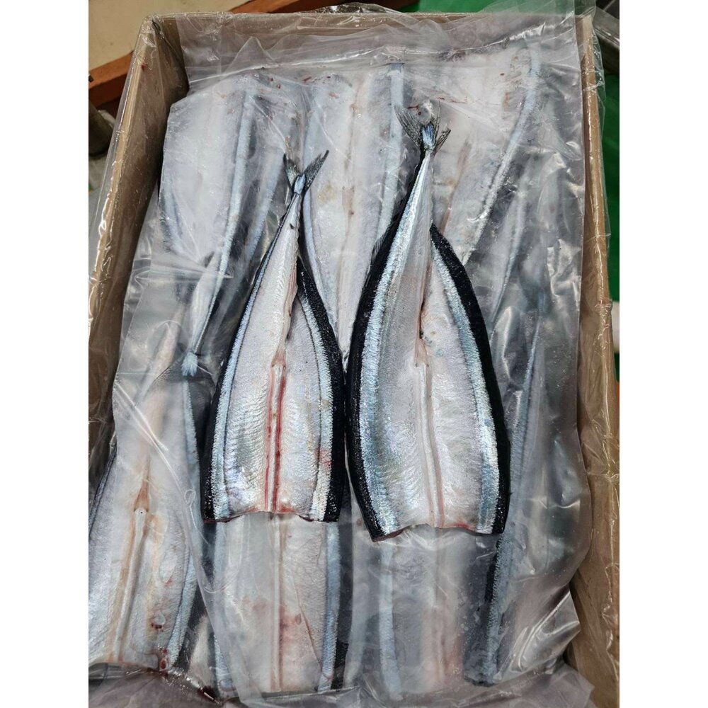 260306145330-去頭秋刀魚 蝴蝶切 — 鮮甜無負擔  秋刀魚 烤肉