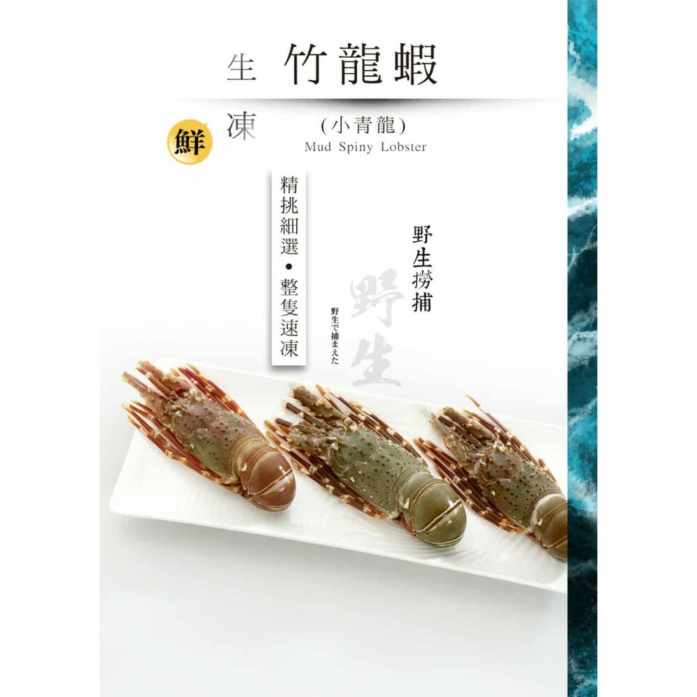 260430233355-青龍 龍蝦 150／200g  10送一