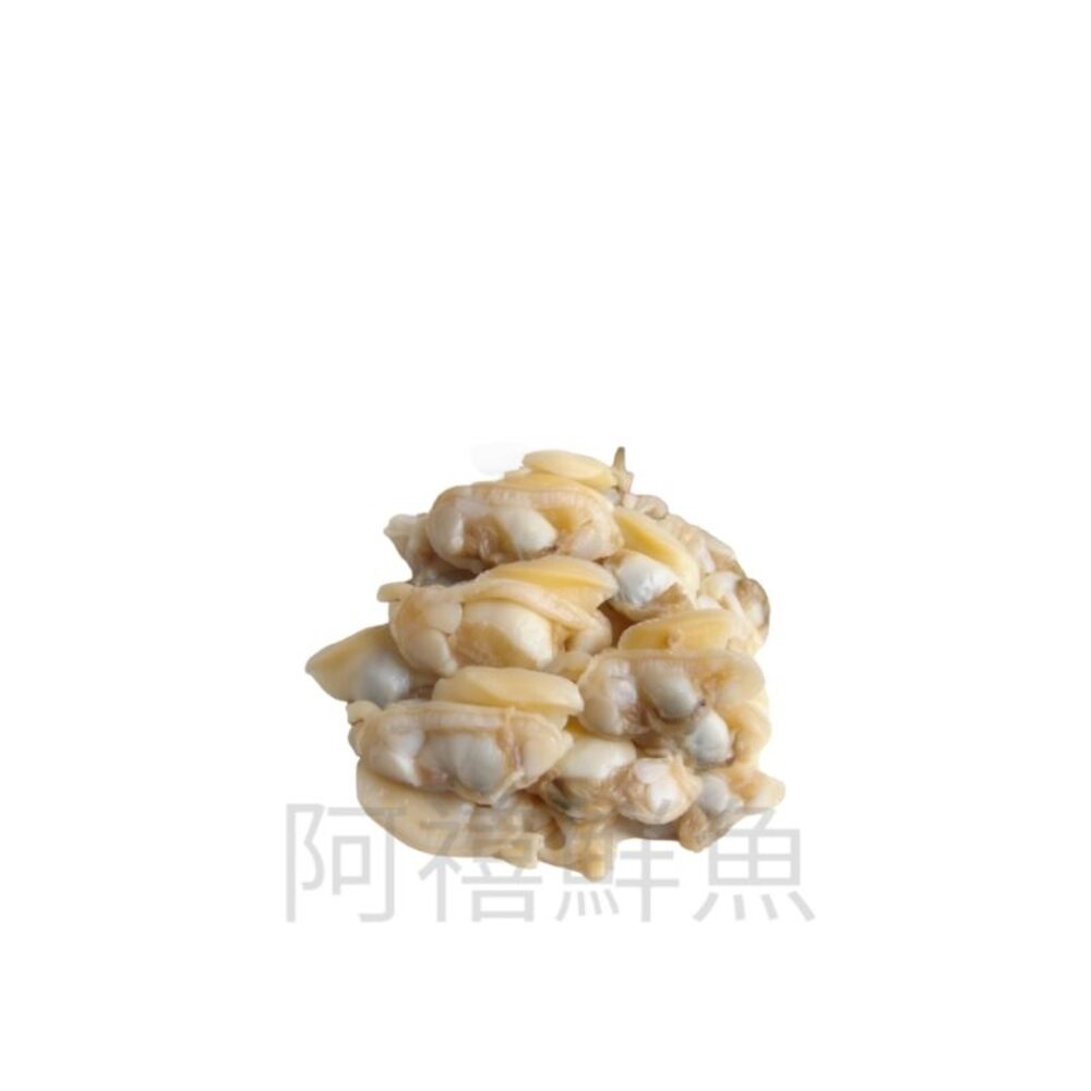 海瓜子 海瓜子肉 花甲 封面照片