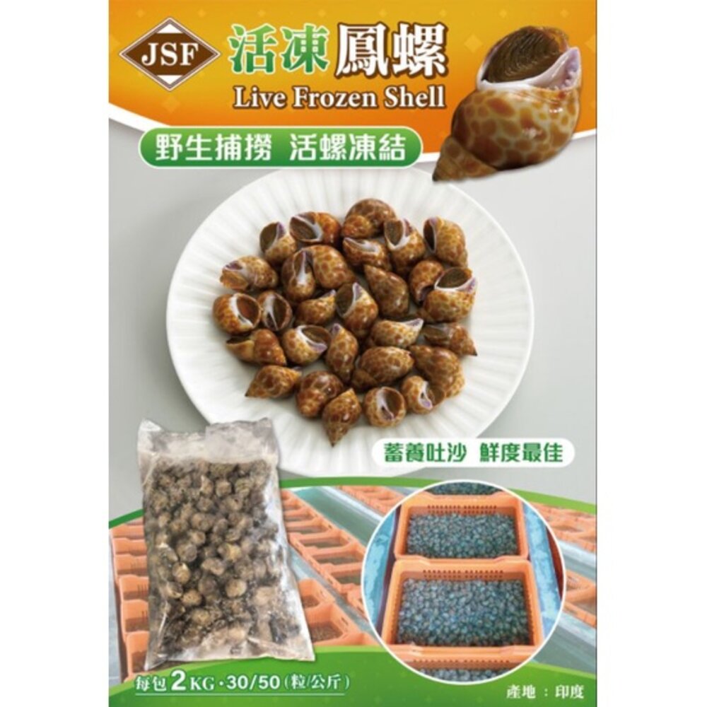 活凍鳳螺-圖片-3