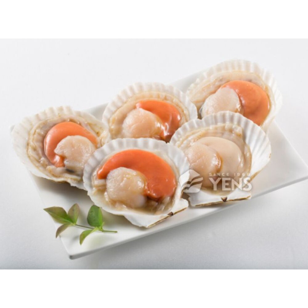 半殼扇貝  扇貝 封面照片