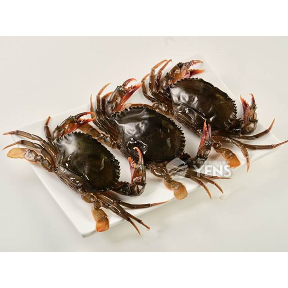 3547204081-軟殼蟹 8p-10p