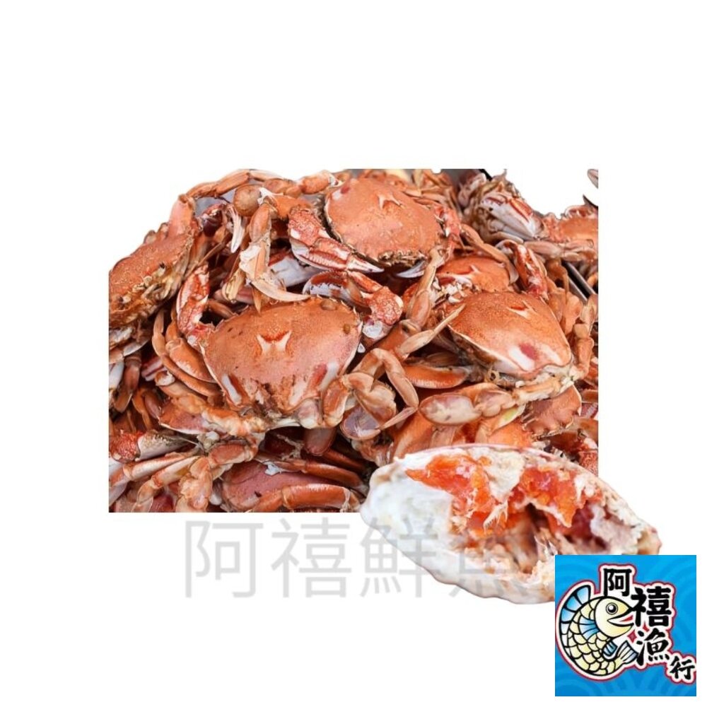 4307998902-熟有蛋 黃金蟹 馬蹄蟹 沙蟹  母蟹  有卵