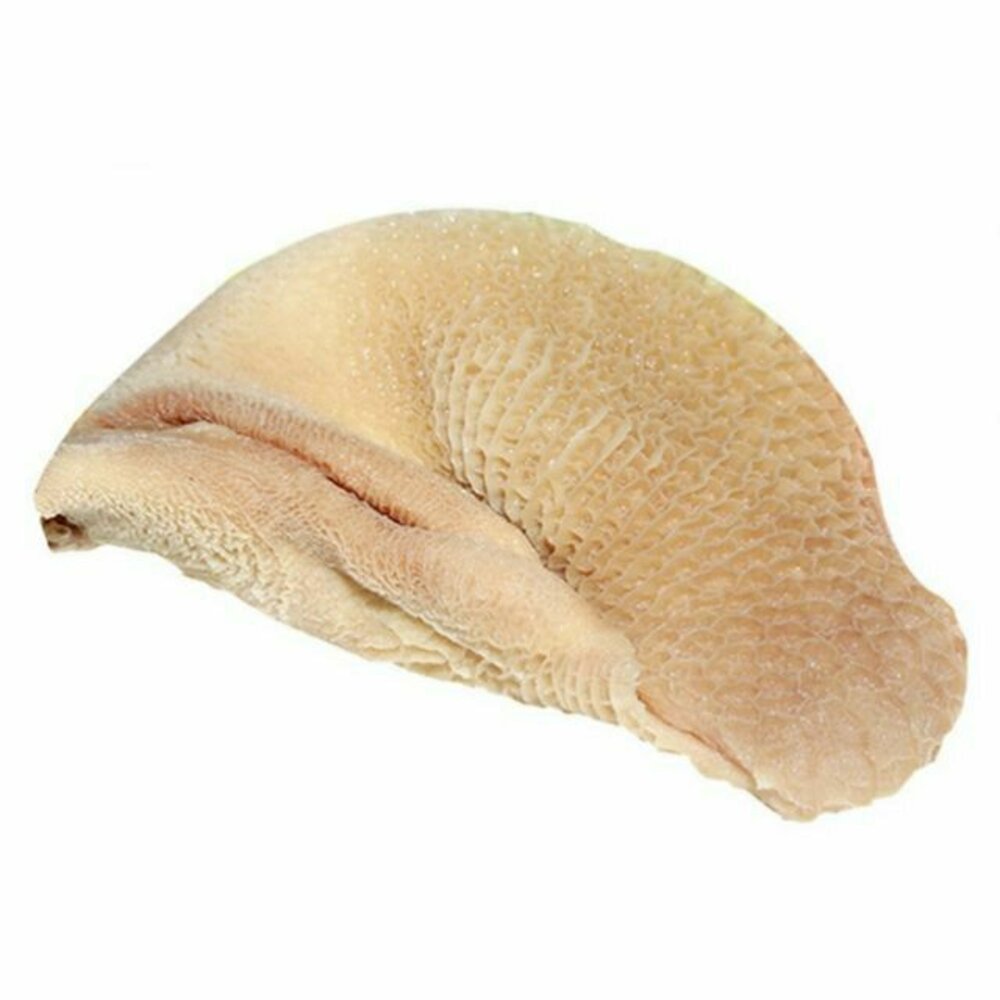 澳洲 草飼 牛肚 蜂巢肚 封面照片