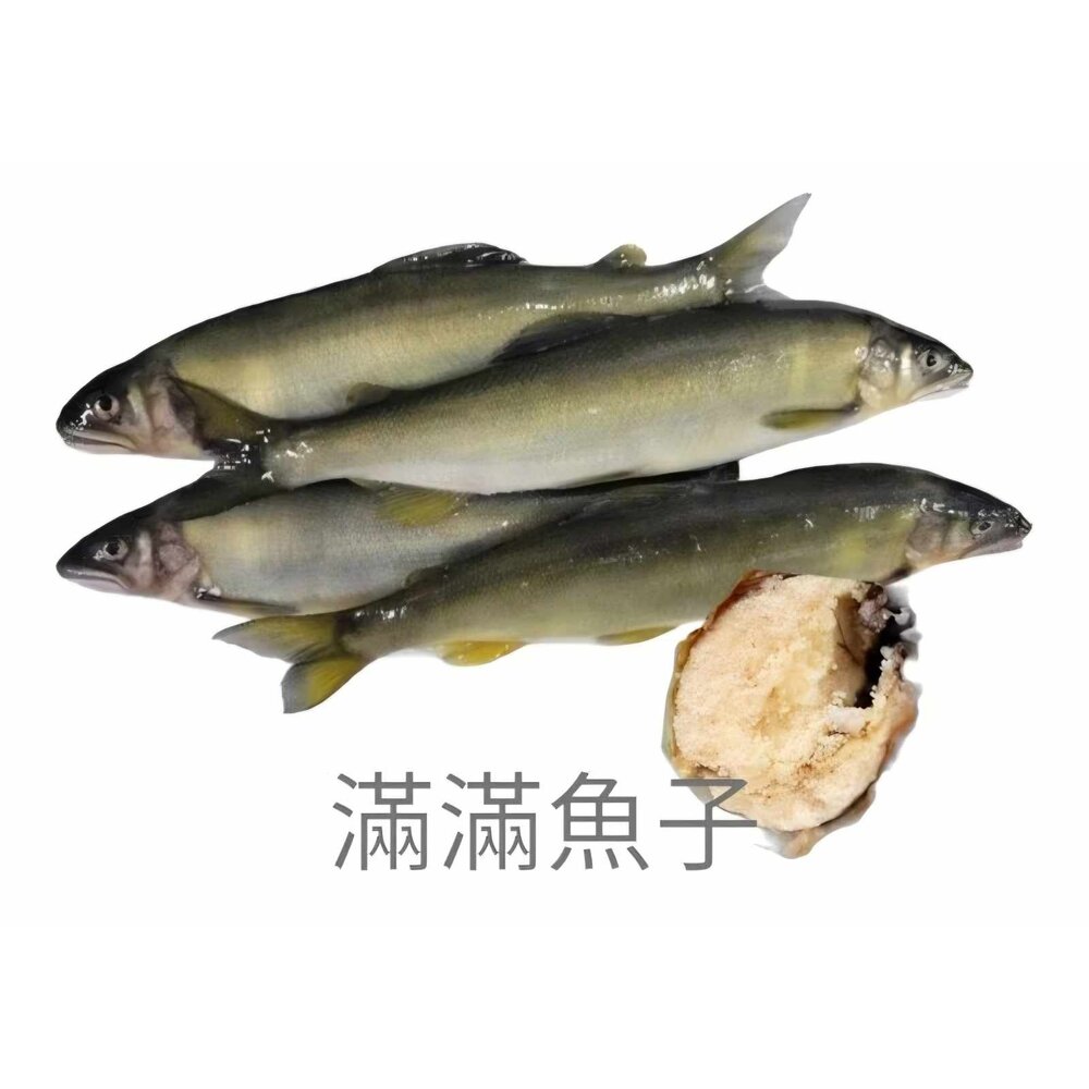 5519866661-宜蘭 爆卵 母香魚 魚
