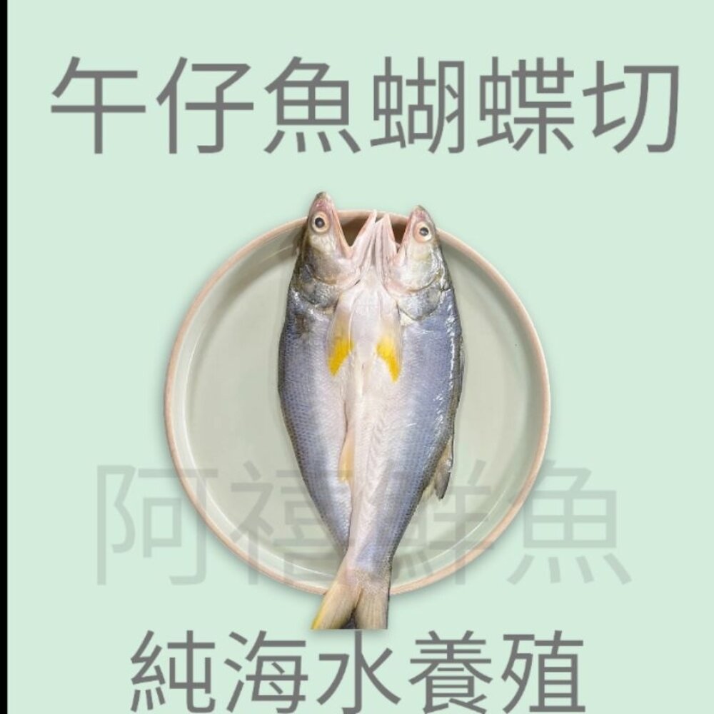 午仔魚  蝴蝶切 封面照片