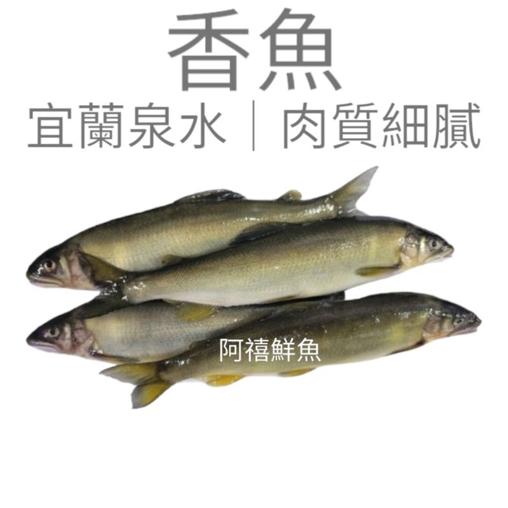 宜蘭公香魚