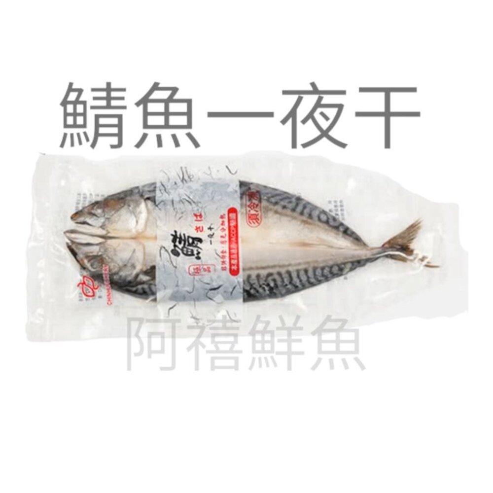 6852443084-鯖魚一夜干 鯖魚 一夜干 挪威