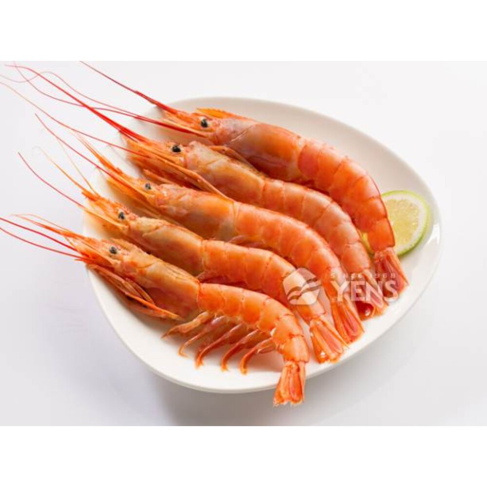 7211325108-船凍生食 天使紅蝦L1 10/20  買一公斤送一公斤