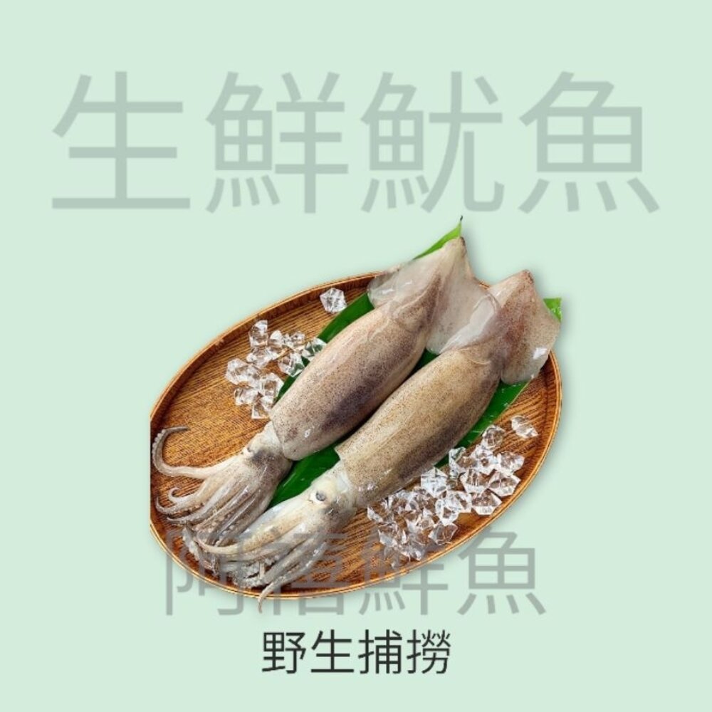 7906901384-魷魚 炮管 整尾  200g-300g