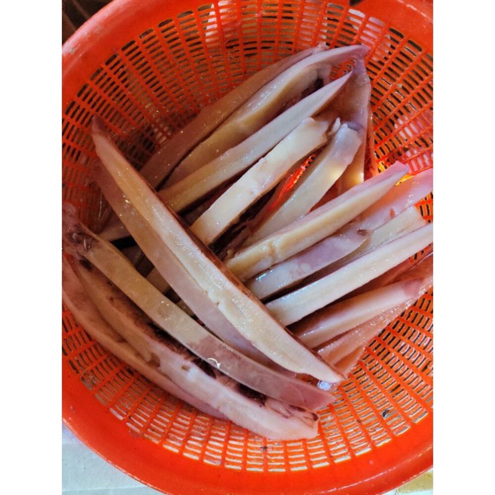 泡魷魚 魷魚 刻花魷魚 魷魚花 魷魚翅 整尾泡魷魚-圖片-2