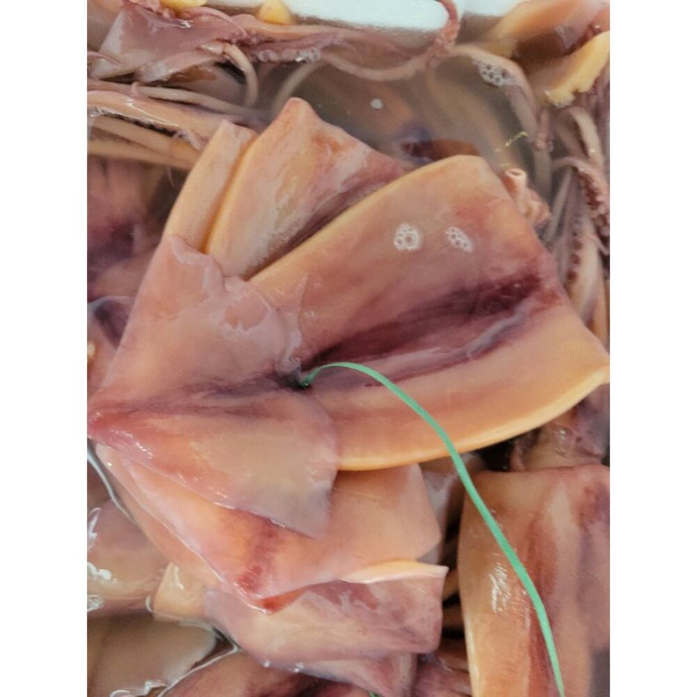 9146115187-泡魷魚  魷魚 刻花魷魚 魷魚花  魷魚翅  整尾泡魷魚