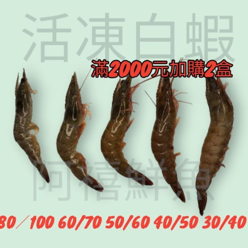 9397249707-【嚴選鮮蝦｜大白蝦上桌】〔訂單滿兩千限量加購兩盒 〕海蝦 草蝦 白刺蝦 手臂蝦 泰國蝦 蝦