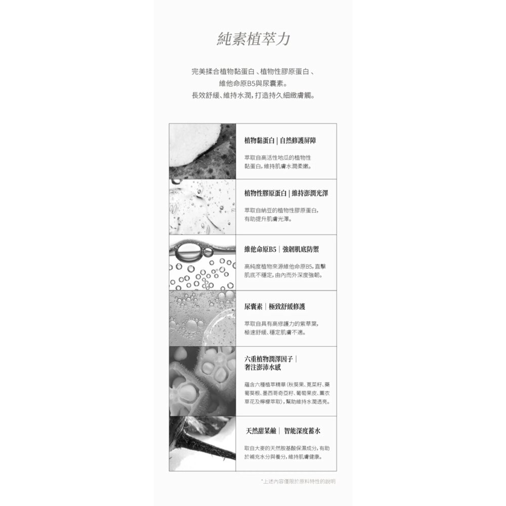 現貨|Dinto|總代理授權|水光玻璃氣墊粉餅 水光柔焦氣墊 奶油遮瑕 女團氣墊-圖片-5