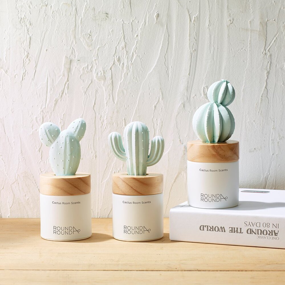 現貨|Round a Round|仙人掌擴香瓶 oliveyoung香氛品牌 韓國擴香|韓國代購-圖片-1