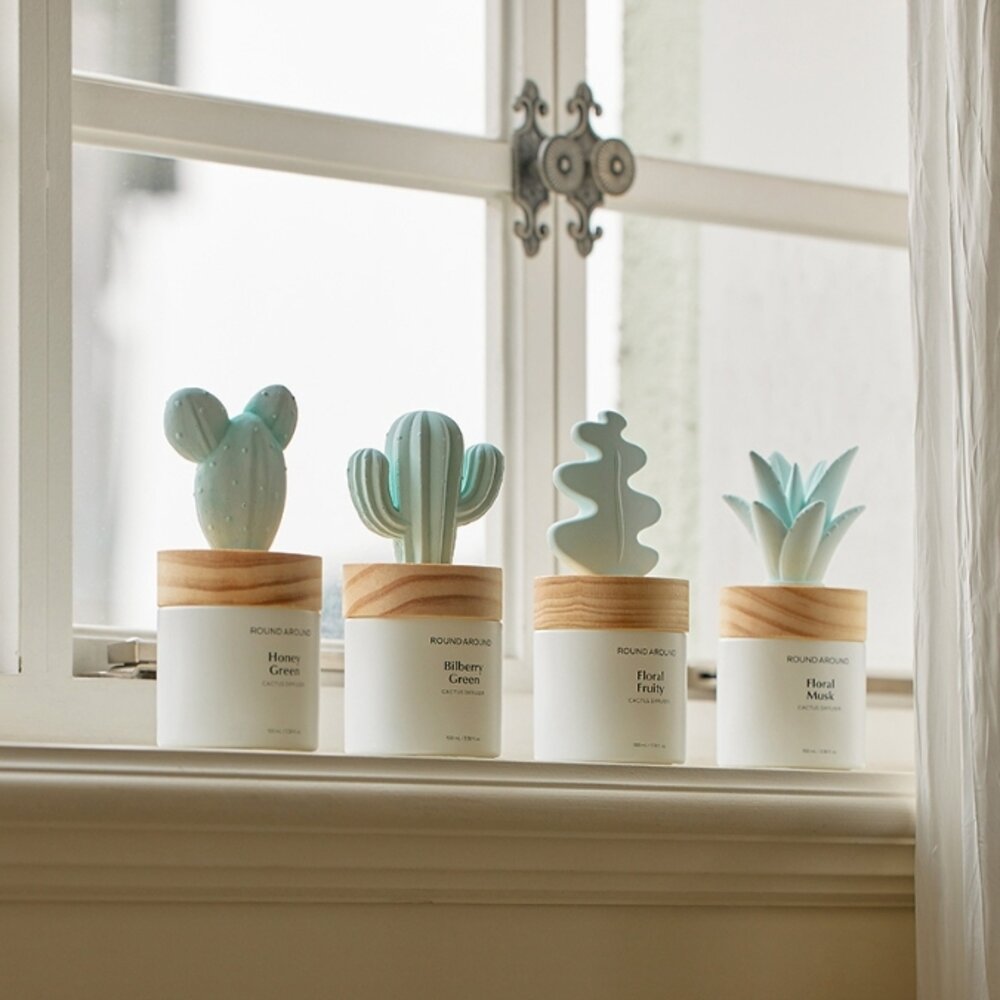 現貨|Round a Round|仙人掌擴香瓶 oliveyoung香氛品牌 韓國擴香|韓國代購-圖片-2