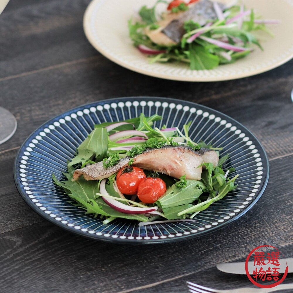 日本製 美濃燒 Albee 22cm 盤子 輕量 淺盤 潑水十草 沙拉盤 線條設計 料理 日式 簡約-圖片-2