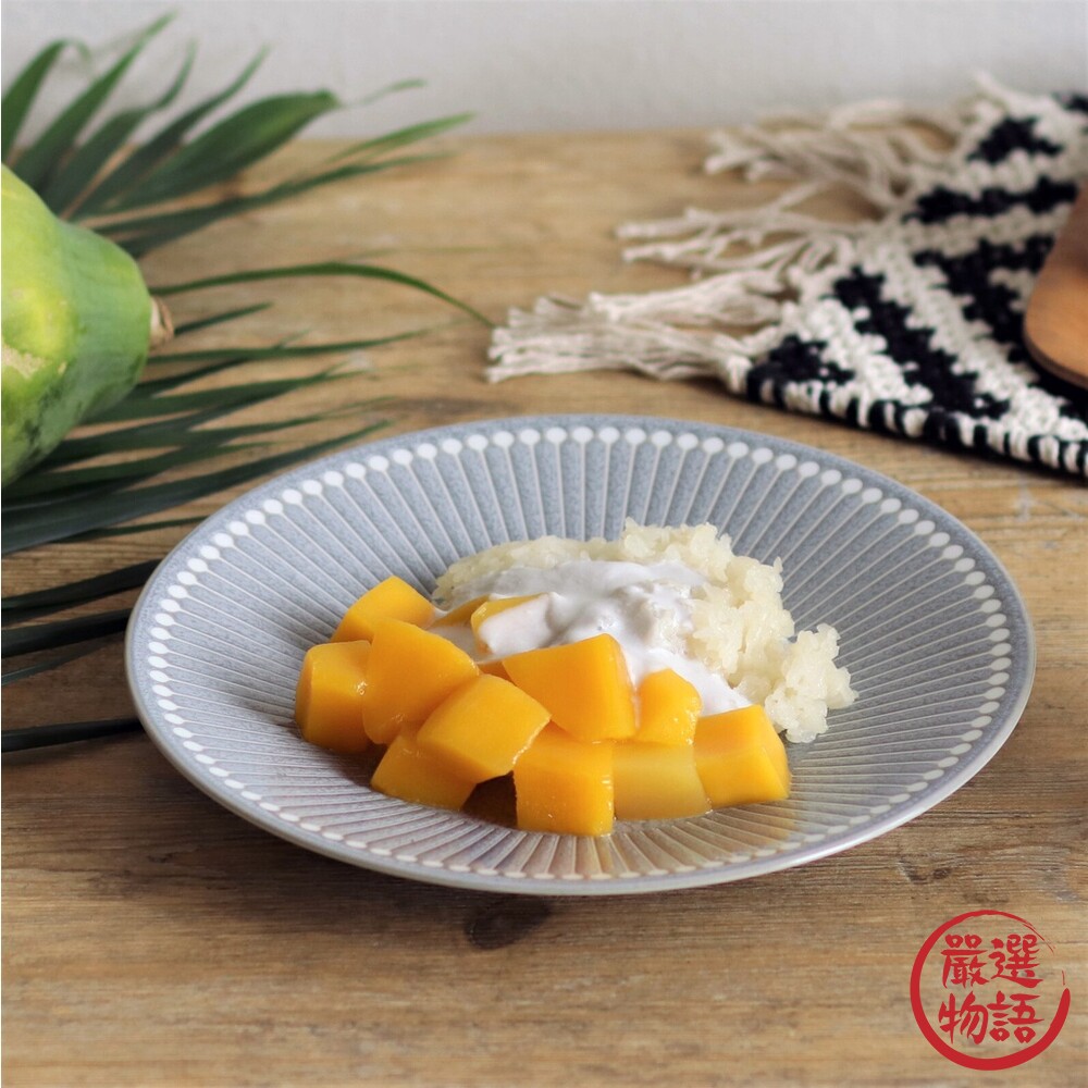 日本製 美濃燒 Albee 22cm 盤子 輕量 淺盤 潑水十草 沙拉盤 線條設計 料理 日式 簡約-圖片-5