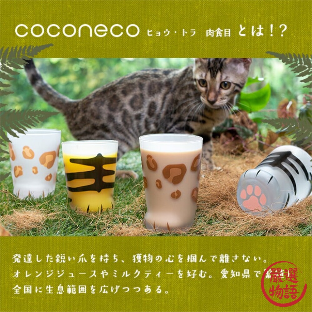 日本製 動物腳掌杯 2022新款 coconeco 虎/豹 親子杯 牛奶杯 腳掌杯 肉球 玻璃杯-圖片-2