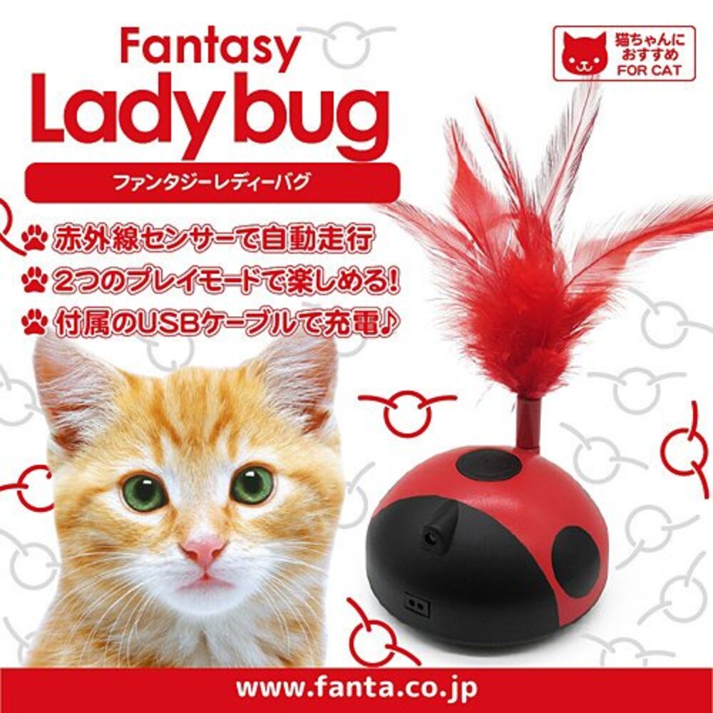 SF-015250-瓢蟲逗貓玩具 USB充電 360度旋轉 移動式 逗貓棒 貓咪玩具 動物羽毛 訓練用品