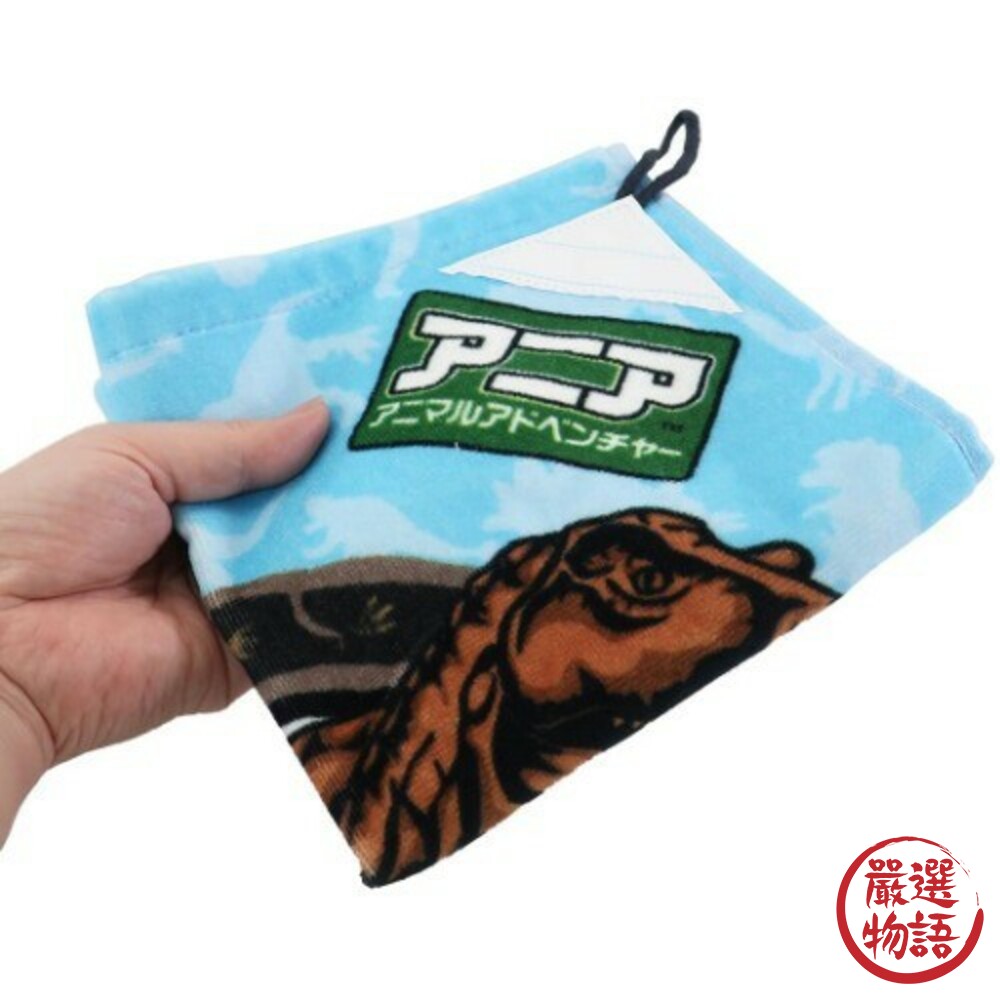 日本製恐龍方巾 多美動物ANIA 霸王龍/三角龍 擦手巾 手帕 兒童毛巾 恐龍毛巾 侏儸紀毛巾 掛耳方巾 封面照片