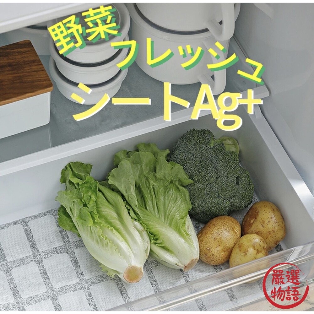 日本製 冰箱保鮮片Ag+ 保鮮片 除臭片 蔬菜保鮮片 蔬果除臭 活性碳 生鮮除臭-圖片-2