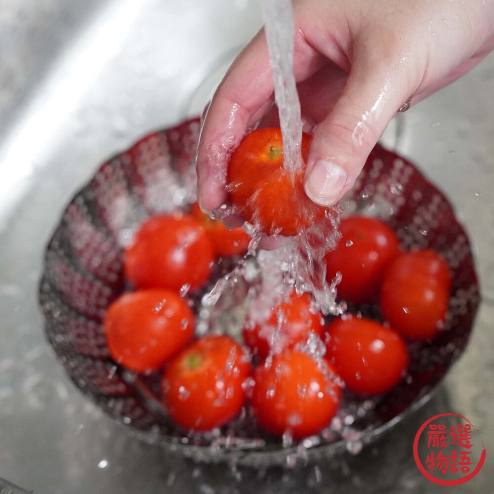日本製 不鏽鋼伸縮蒸籠 蒸龍架 電鍋蒸籠 蒸籠 不鏽鋼架 瀝水架 瀝水籃 露營 廚房萬用架-圖片-3