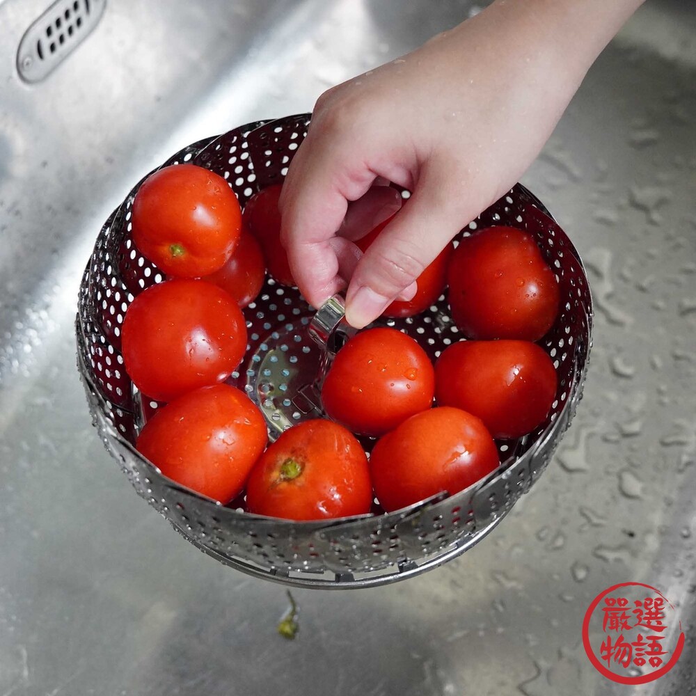 日本製 不鏽鋼伸縮蒸籠 蒸龍架 電鍋蒸籠 蒸籠 不鏽鋼架 瀝水架 瀝水籃 露營 廚房萬用架-圖片-4