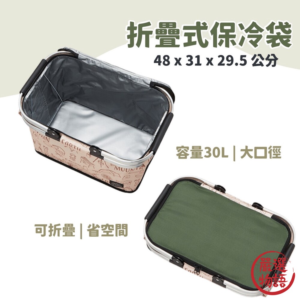 Live in Nature 保冷袋 野餐墊 露營 野餐 郊遊 Skater-圖片-1