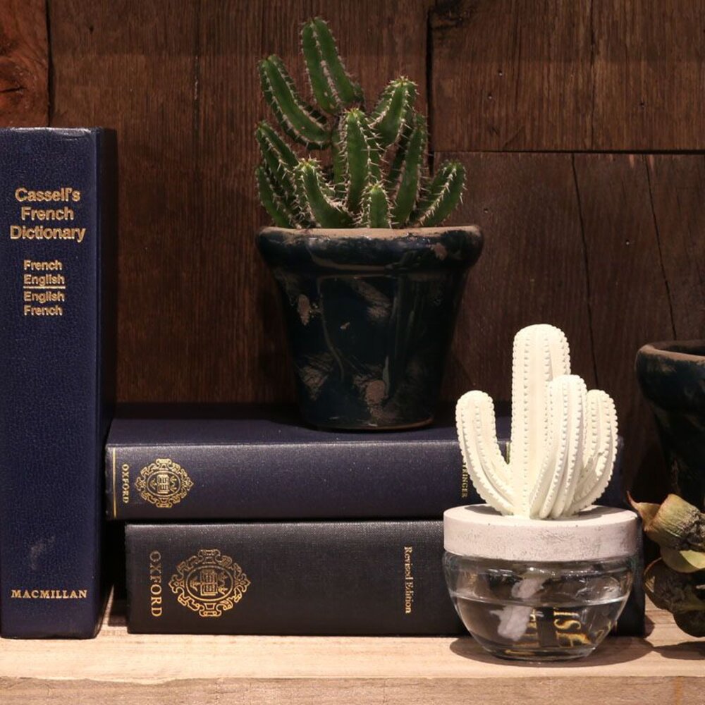 SF-017063-DULTON 仙人掌造型 多肉植物 擴香瓶 香氛 海洋清新 廁所芳香 居家擴香 療癒小物
