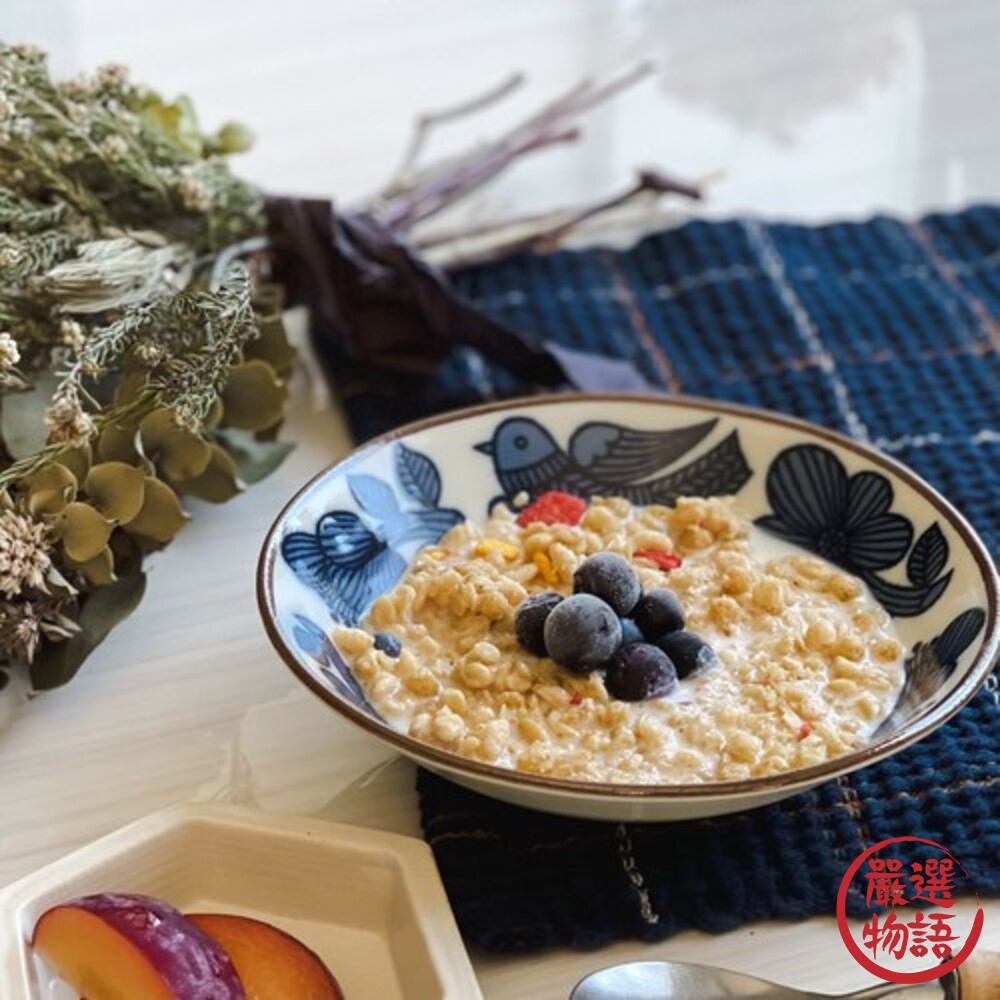 日本製 復古花鳥餐盤 餐碗 蛋糕盤 餐盤 甜點盤 點心盤 沙拉盤 碗盤 餐具 日本餐具-圖片-3