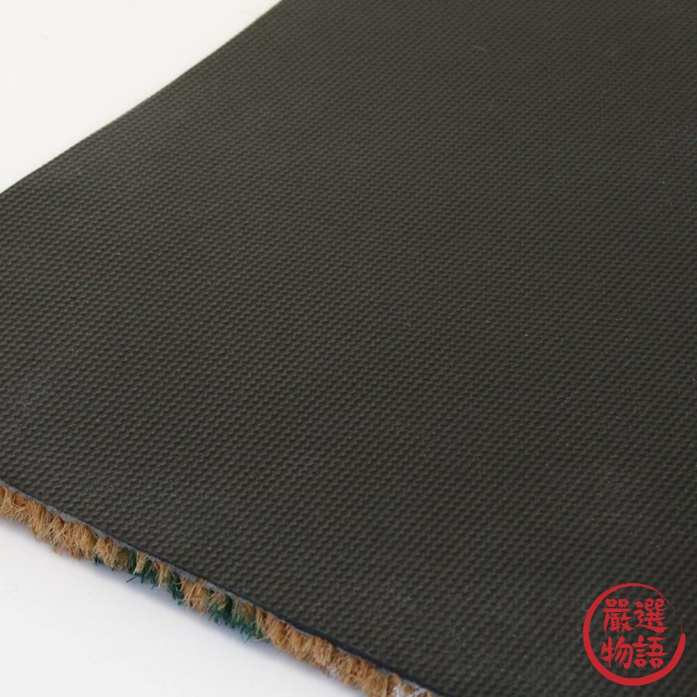 玄關地墊 門口地墊 刮泥地墊 長型地墊 戶外地墊 玄鳳鸚鵡 長尾鸚鵡 比熊犬 椰子纖維地墊-圖片-2