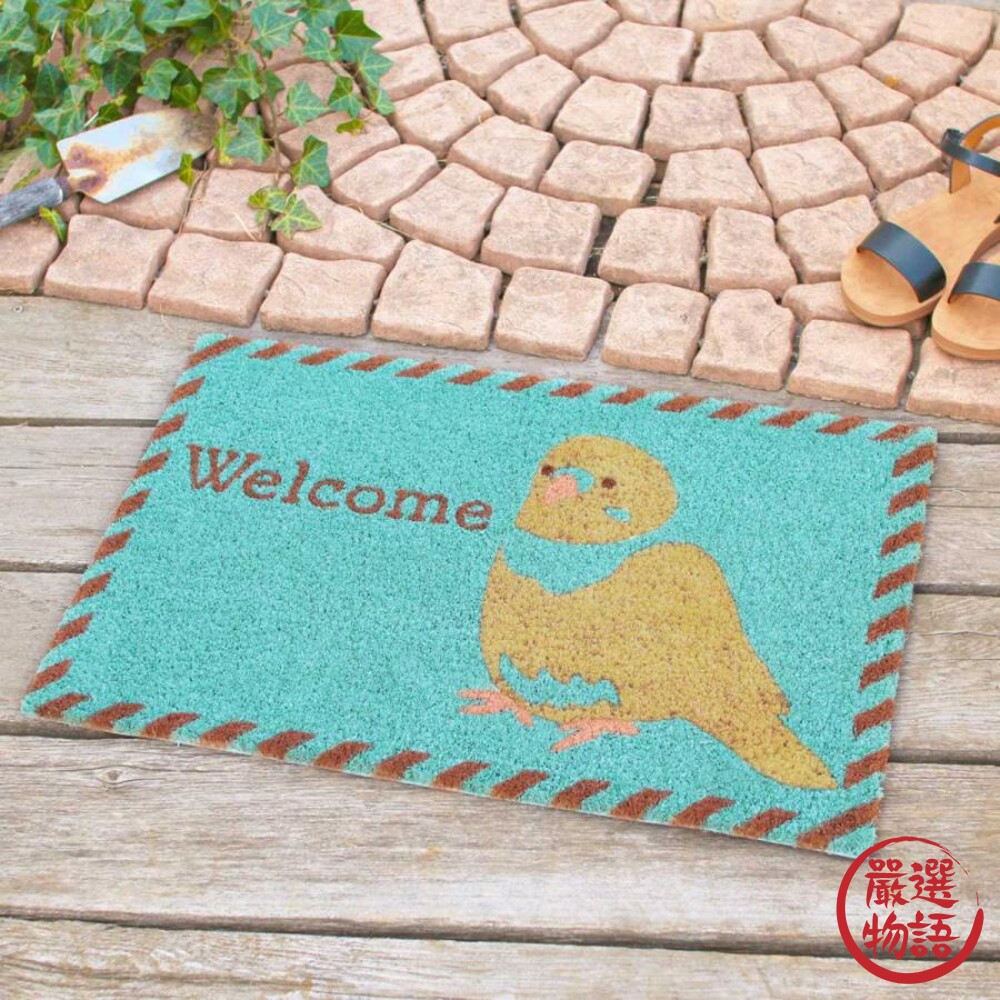 玄關地墊 門口地墊 刮泥地墊 長型地墊 戶外地墊 玄鳳鸚鵡 長尾鸚鵡 比熊犬 椰子纖維地墊-圖片-4