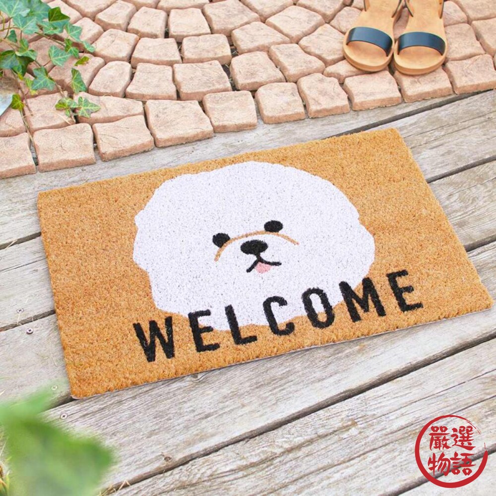 玄關地墊 門口地墊 刮泥地墊 長型地墊 戶外地墊 玄鳳鸚鵡 長尾鸚鵡 比熊犬 椰子纖維地墊-圖片-5