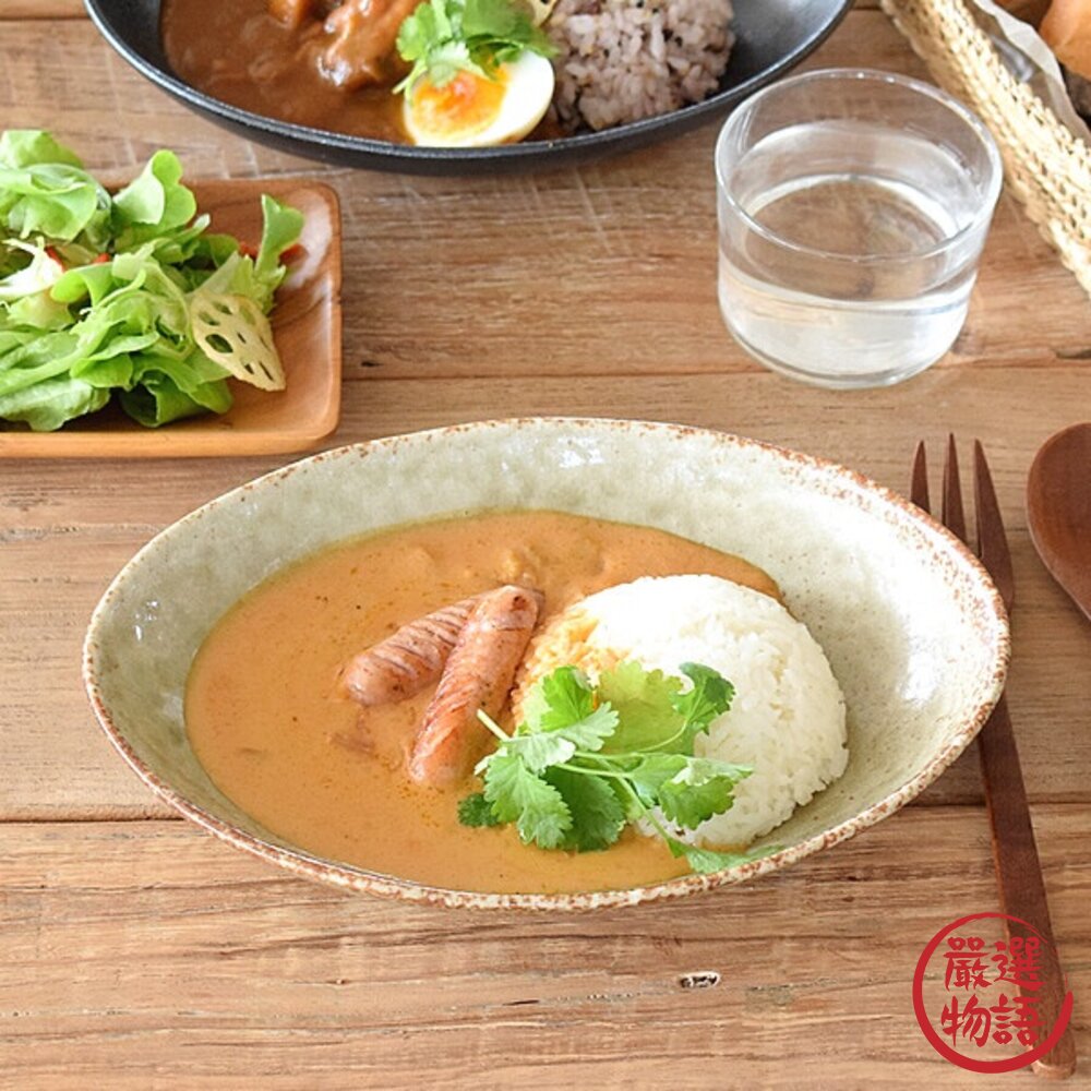 日本製 美濃燒 陶瓷盤 深盤 菜盤 橢圓盤 咖哩盤 義大利麵盤 五色可選-圖片-1