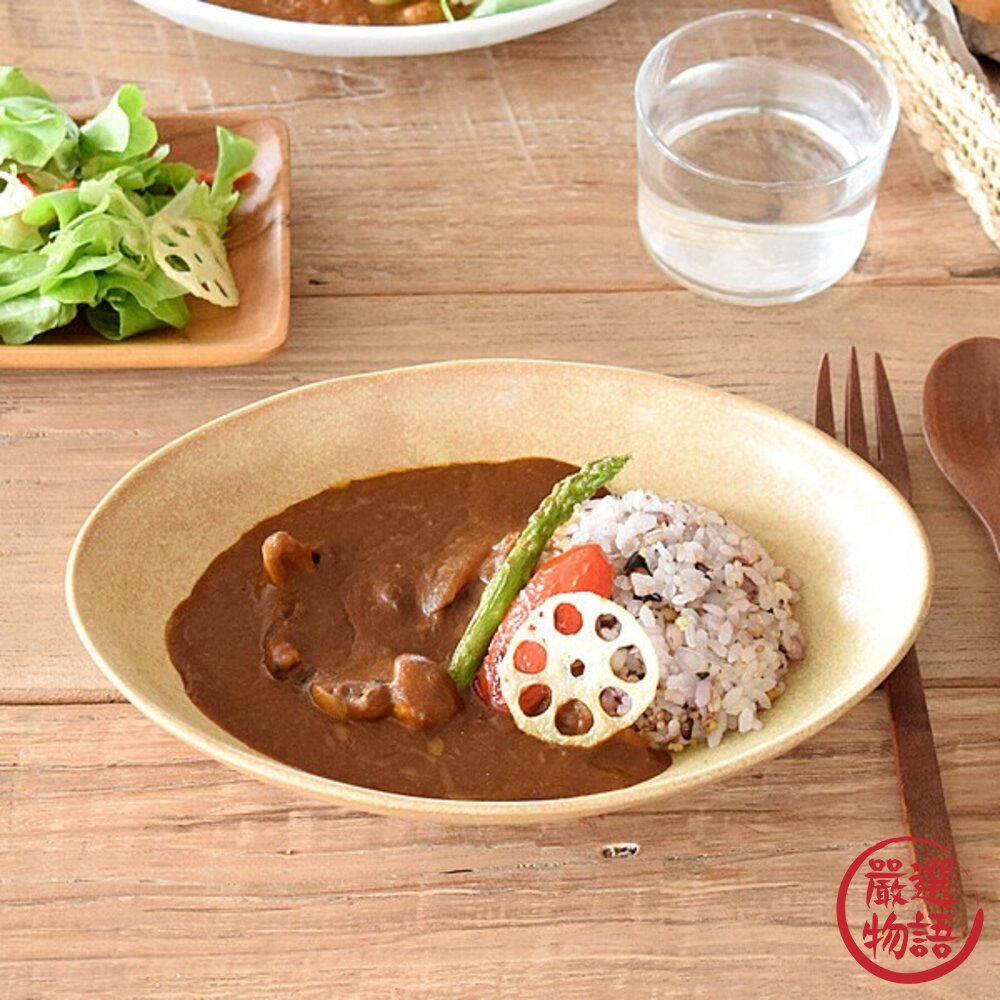 日本製 美濃燒 陶瓷盤 深盤 菜盤 橢圓盤 咖哩盤 義大利麵盤 五色可選-圖片-3