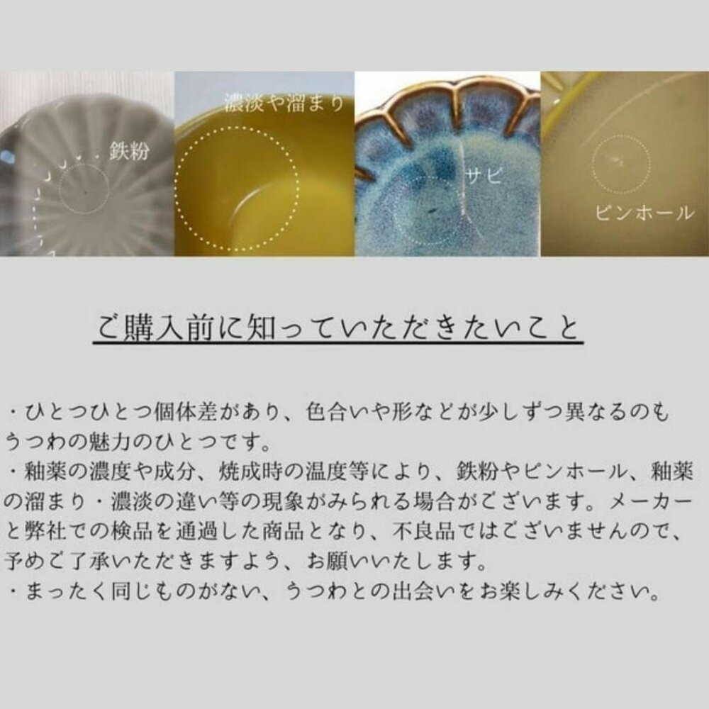 日本製 美濃燒 花卉小盤 深盤 盤子 菜盤 義大利麵盤 咖哩盤 碟子 餐具-圖片-7