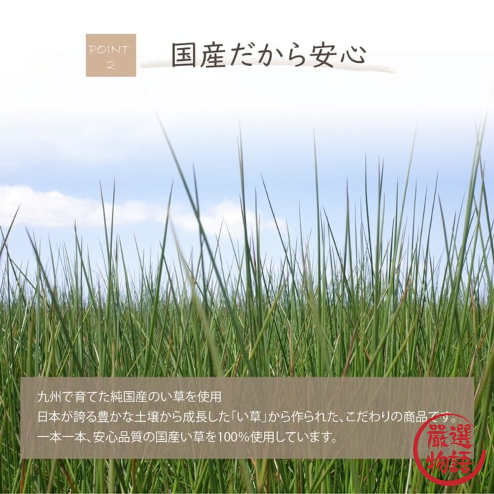 日本製 蘭草消臭捲 IKEHIKO 長效除臭 蘭草 Igusa 榻榻米 葛飾北齋 浮世繪-圖片-2
