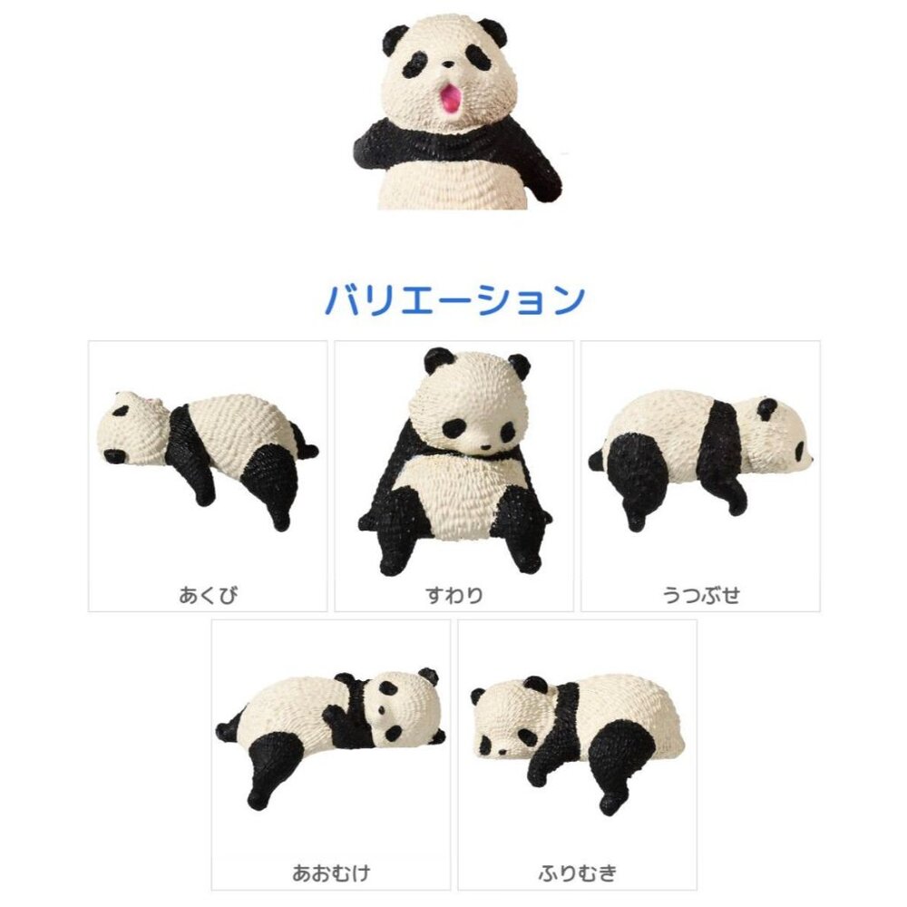 SF-019400-趴睡熊貓盲盒 轉蛋 扭蛋 曬動物 好天氣 曬乾 全5款 熊貓 貓熊 公仔 玩具