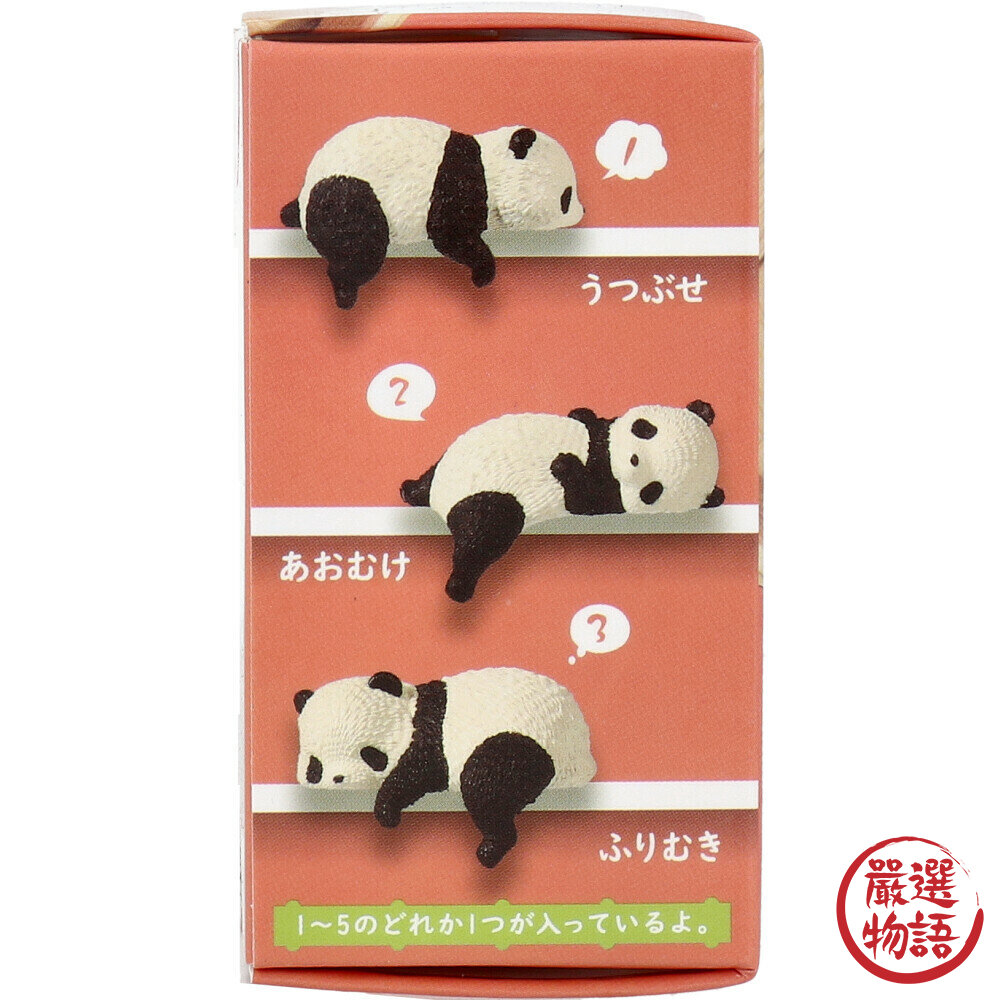 趴睡熊貓盲盒 轉蛋 扭蛋 曬動物 好天氣 曬乾 全5款 熊貓 貓熊 公仔 玩具-圖片-5