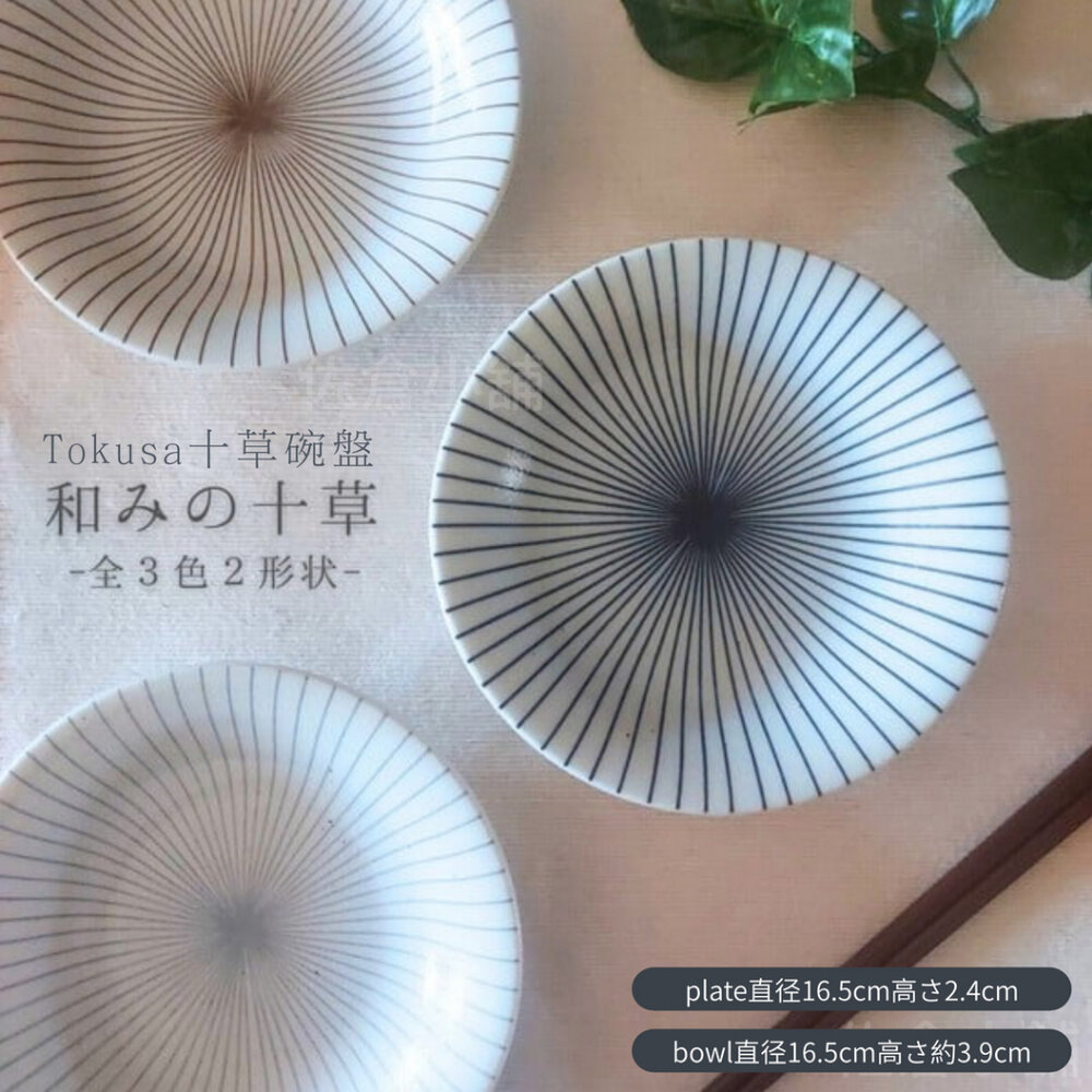 SF-019406-日本製 Tokusa十草 美濃燒 碗盤 餐盤 盤子 碗 淺碗 陶瓷餐碗 日式餐具 沙拉碗