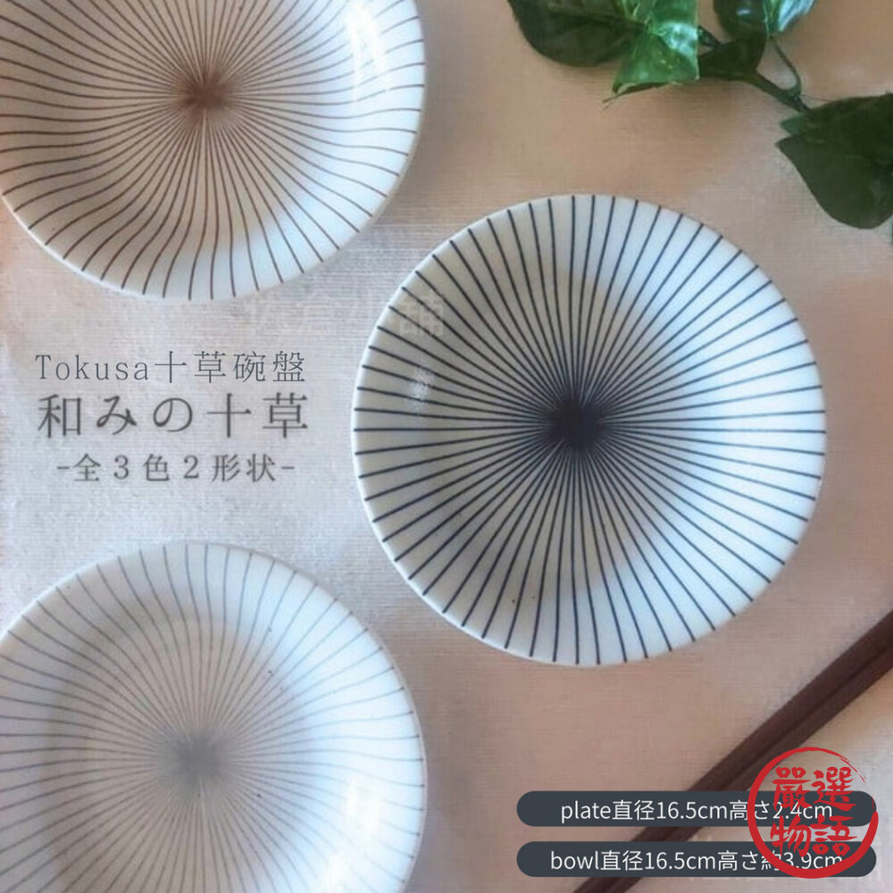 日本製 Tokusa十草 美濃燒 碗盤 餐盤 盤子 碗 淺碗 陶瓷餐碗 日式餐具 沙拉碗 封面照片