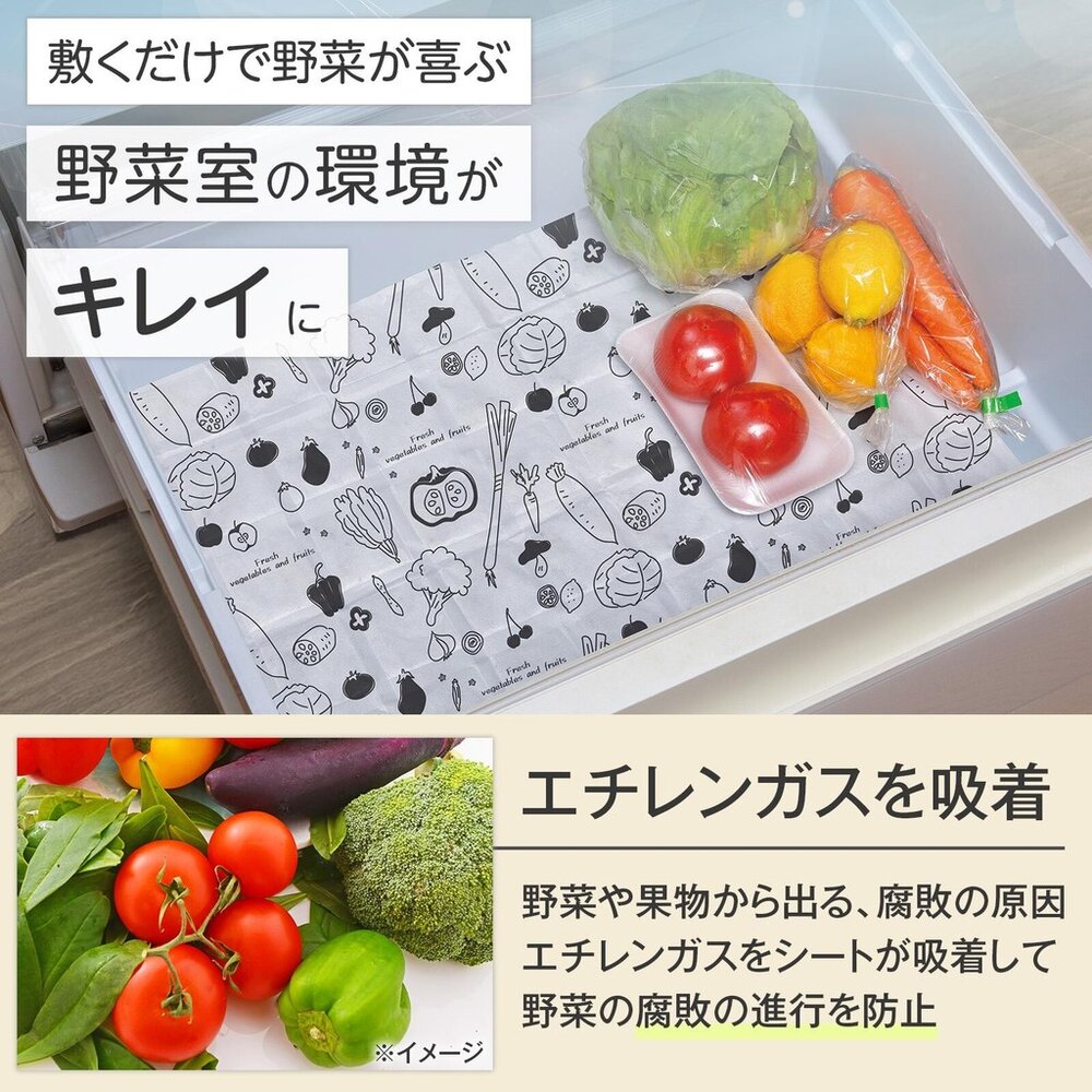 SF-020004-日本製 冰箱蔬果室防潮吸濕墊 2入 | 除臭片 消臭 吸濕 防止腐爛 防污漬 活性碳 冰箱 蔬果