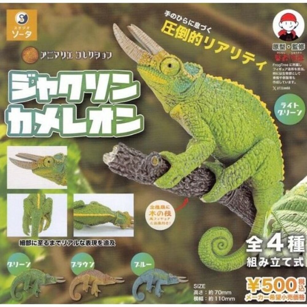 SF-020455-現貨 日本 SO-TA 動物收集 傑克森變色龍 公仔 | 扭蛋 擬真動物公仔 人氣變色龍公仔 辦公室小物 日本進口